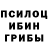Галлюциногенные грибы GOLDEN TEACHER RockaRollo
