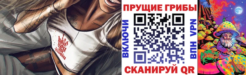 Галлюциногенные грибы прущие грибы  наркошоп  мега ссылка  Алагир 